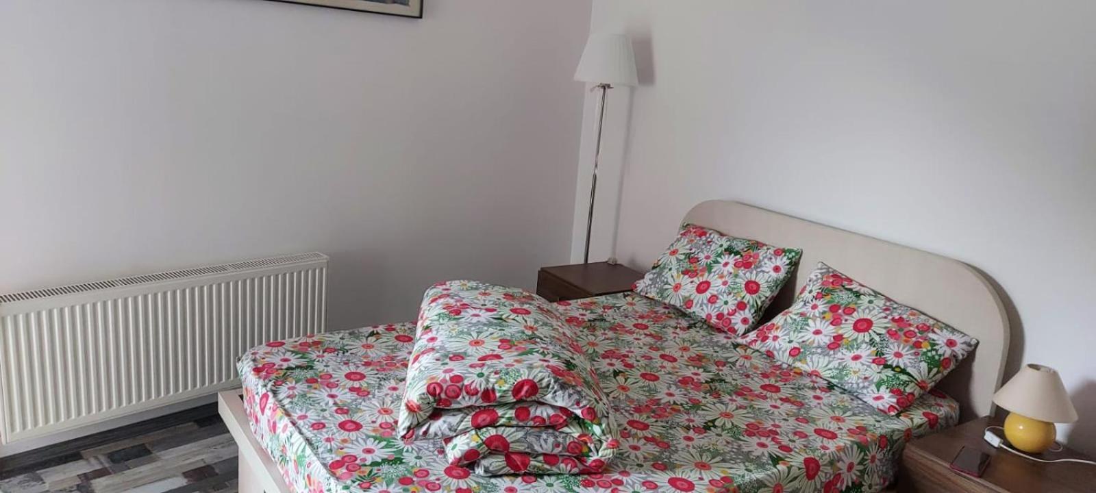 Apartament Ovo 锡纳亚 外观 照片