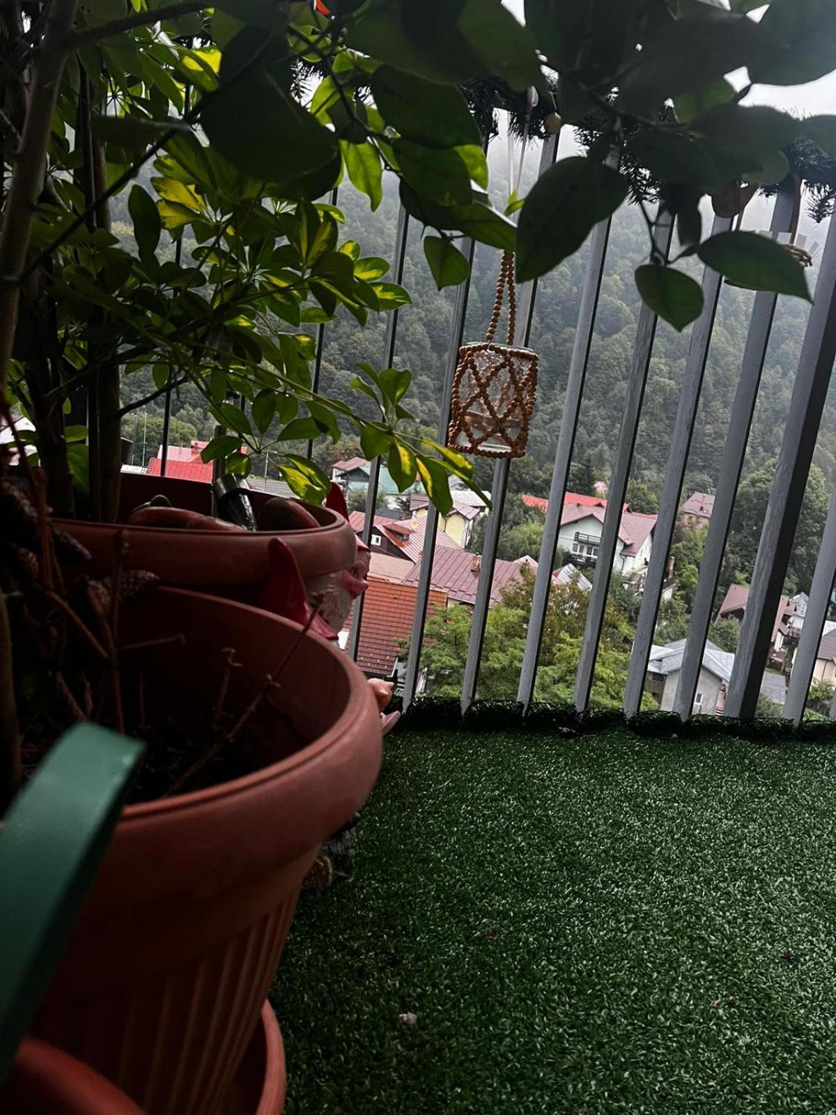 Apartament Ovo 锡纳亚 外观 照片