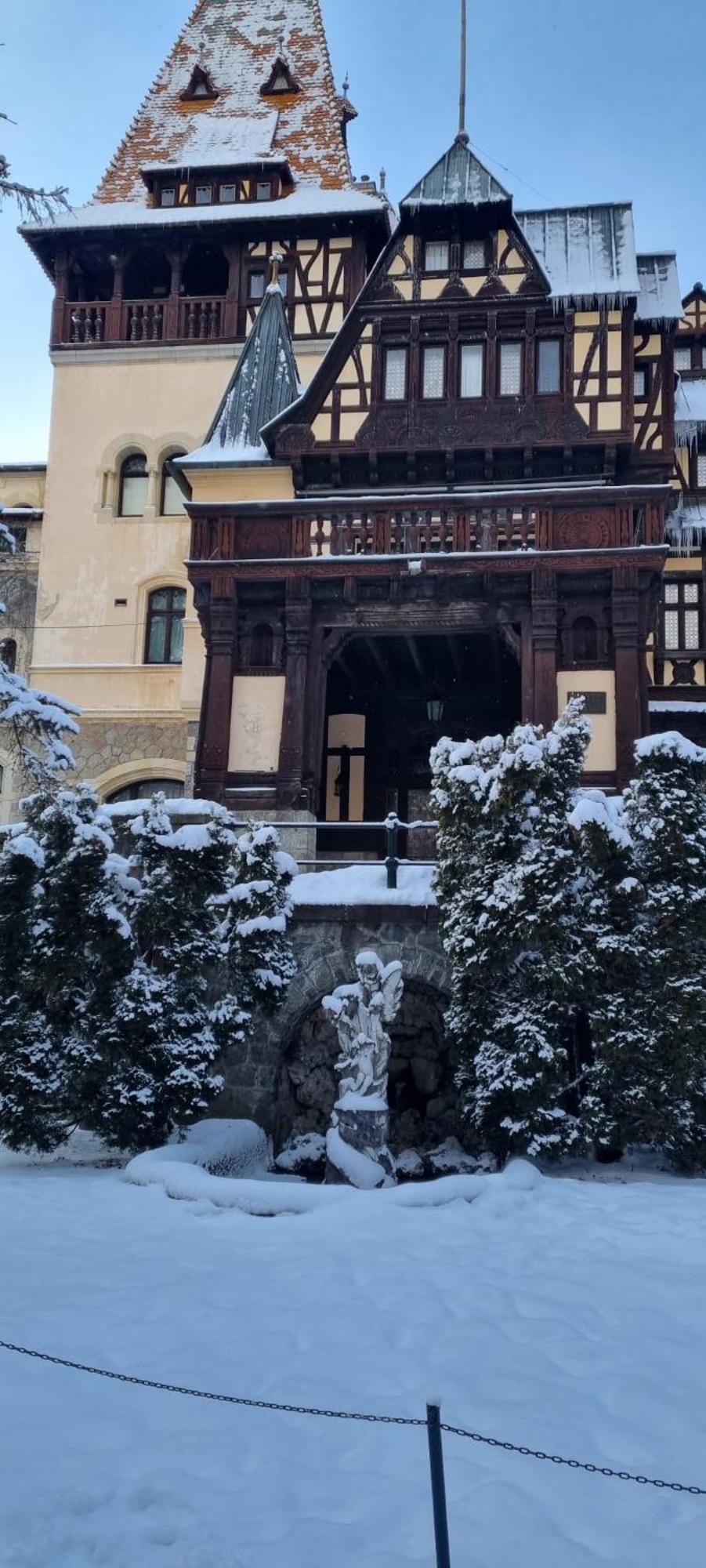 Apartament Ovo 锡纳亚 外观 照片
